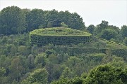 71 Zoom su bel roccolo